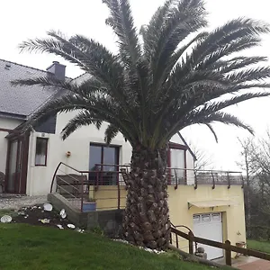 Le palmier Landunvez