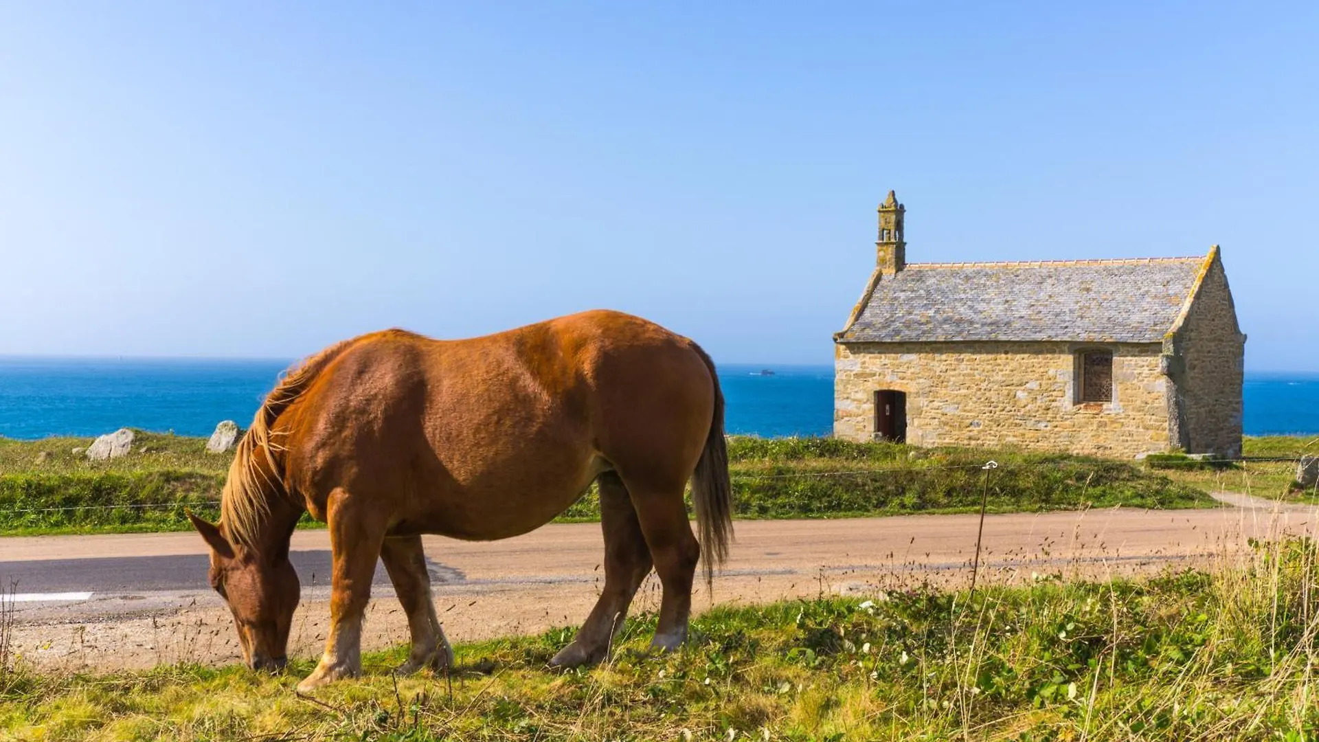 Ker Hir - Charmante Maison Bretonne Tout Confort Landunvez Holiday home